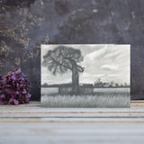 After the storm at Boscobel House - Art Card