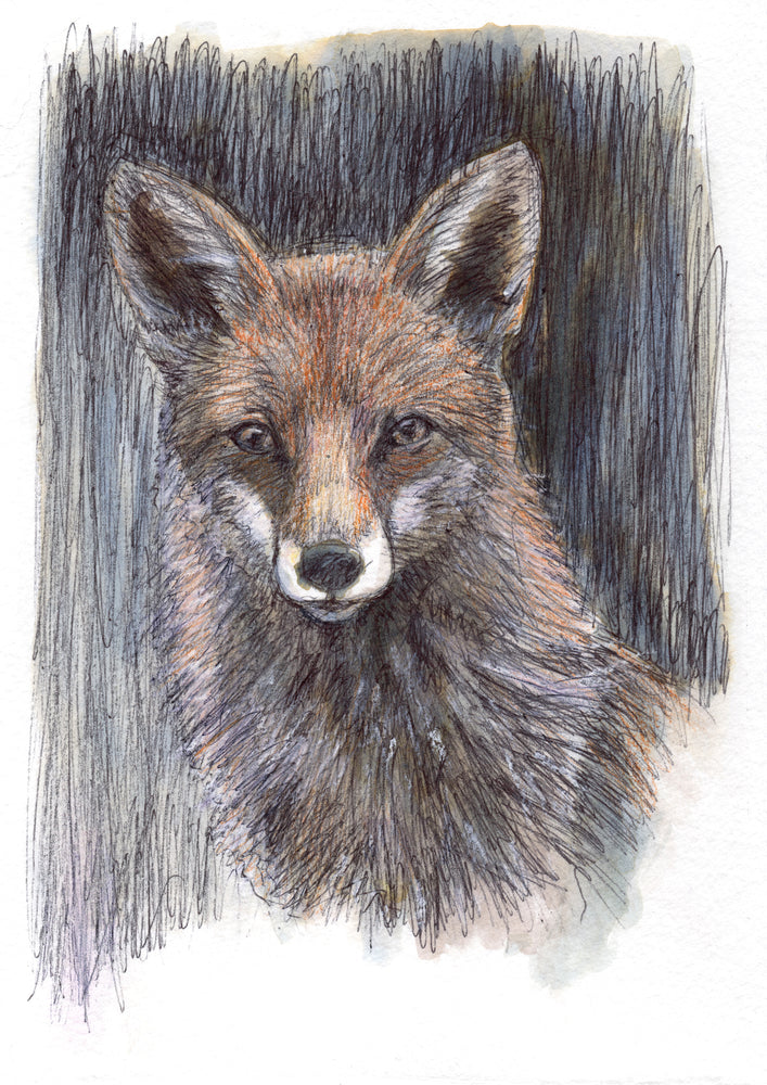 Hello Mr Fox - Art Card