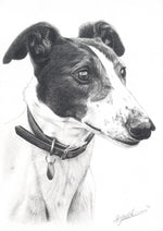 Greyhound - Art Card