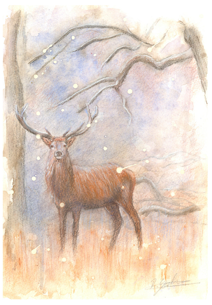 Reindeer 2 - Christmas Card