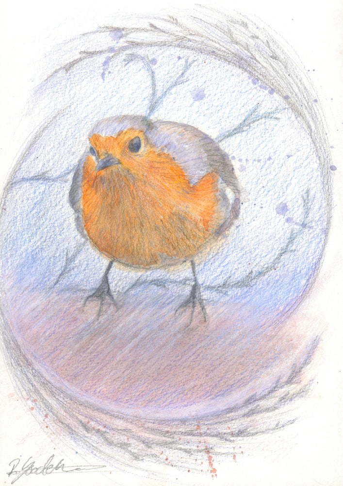 Robin Red Breast - Christmas Card