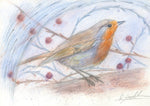 Robin and Berries 2 - Christmas Card