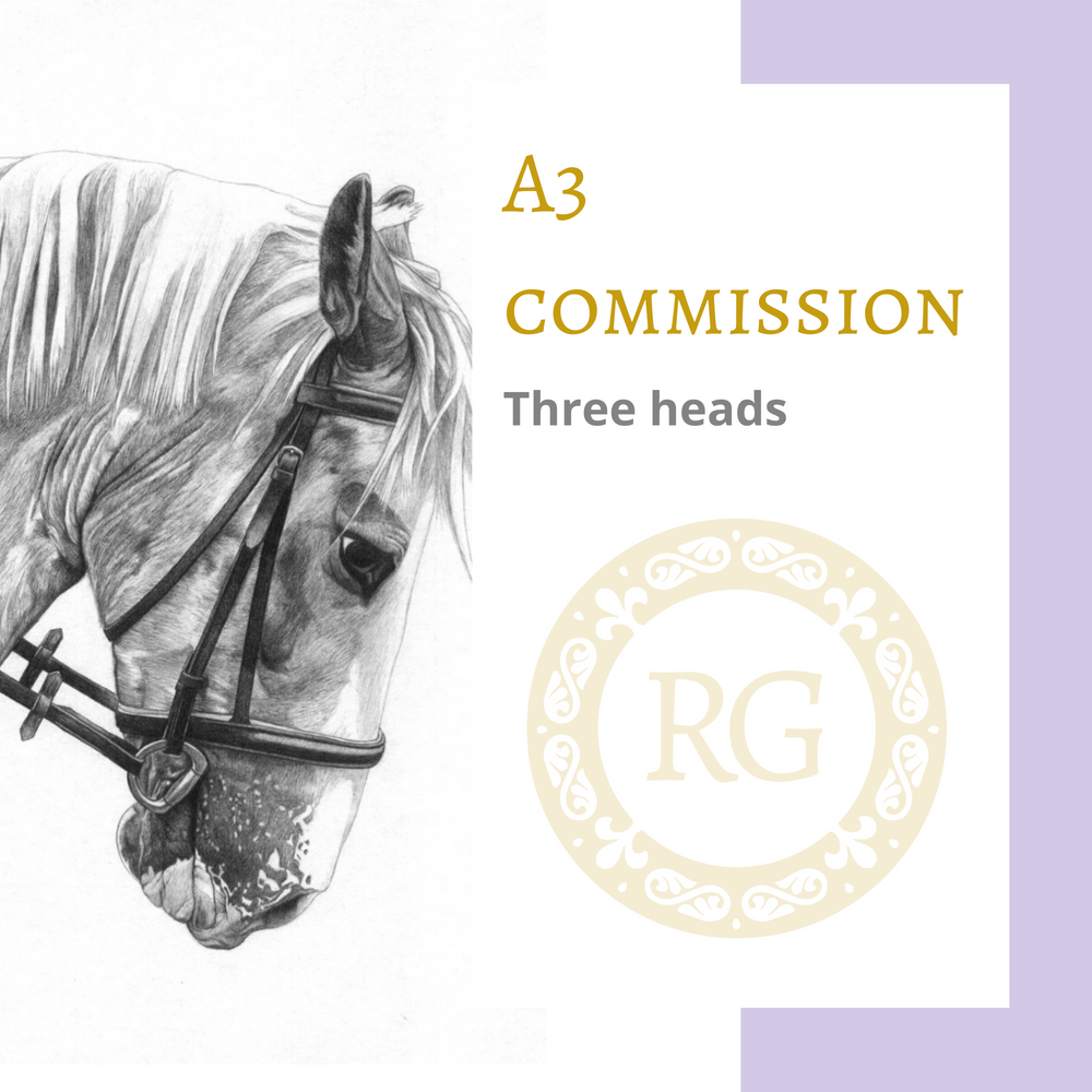 A3 Commission - Three Heads