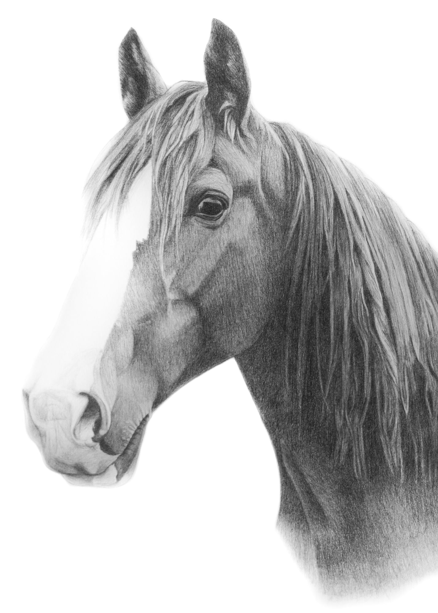 Splash – Roxanne Gooderham - Fine Artist