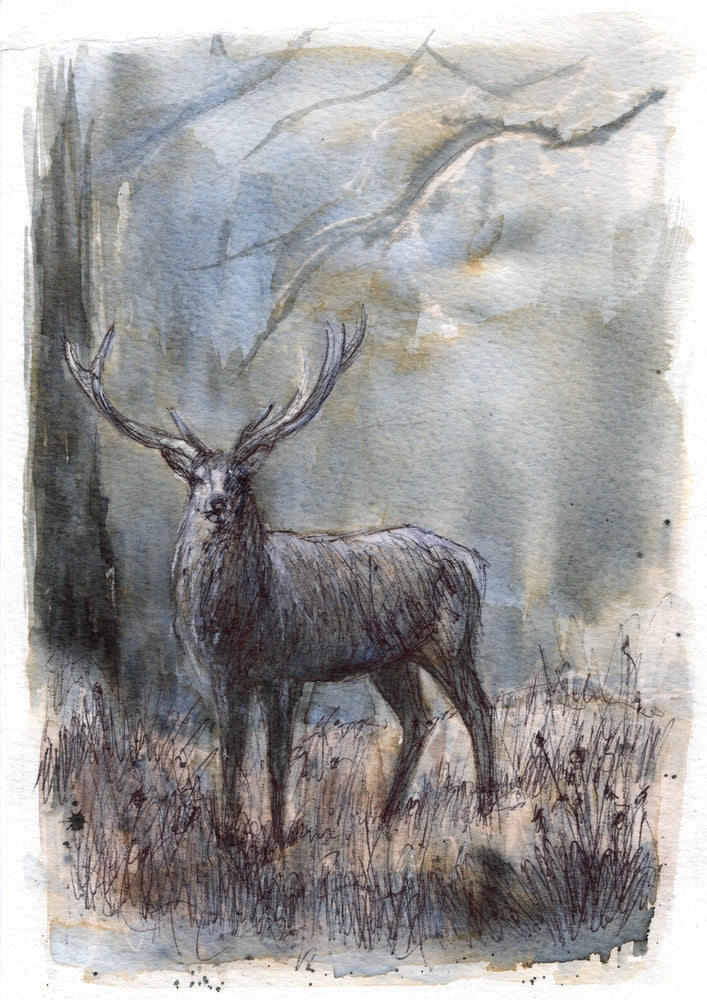 The Lone Stag - Christmas Card