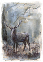 The Lone Stag - Christmas Card