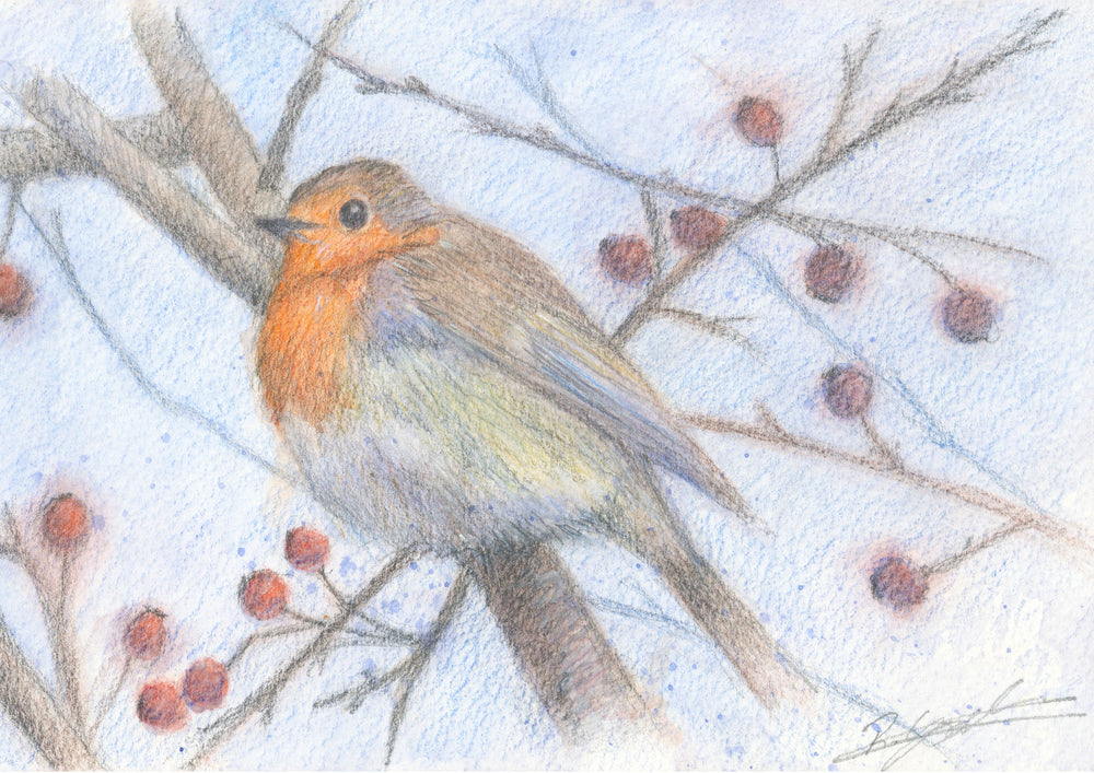 Robin and Berries 1 - Christmas Card
